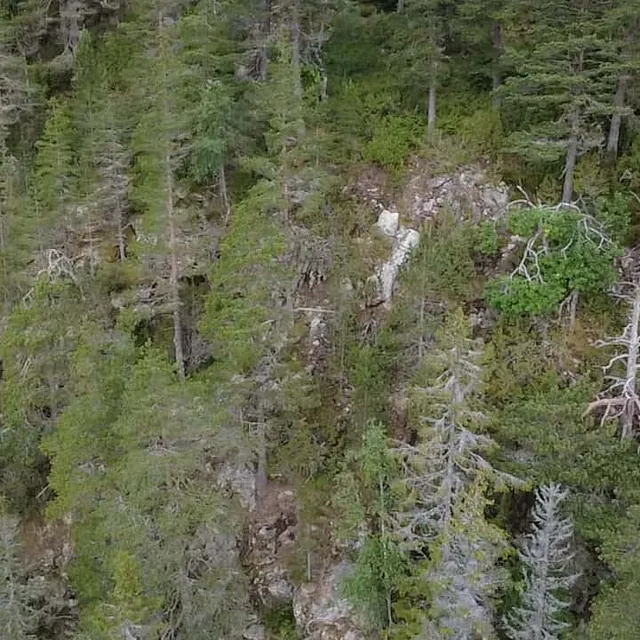 Tett skog og berggrunn i et kupert landskap sett fra et lavt droneperspektiv.