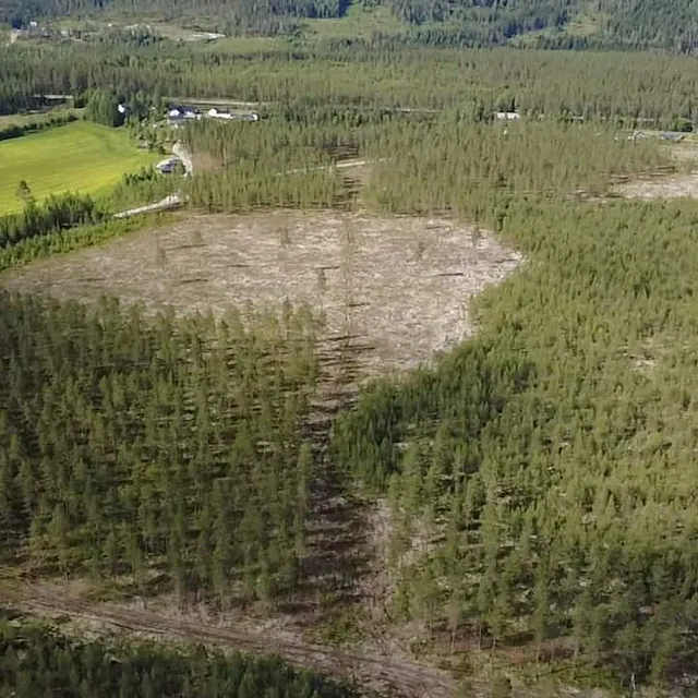Et stort avskoget område omgitt av tett skog og jordbruksland sett fra droneperspektiv.