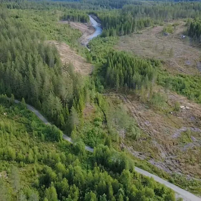 Et dronebilde viser et skogsområde med en liten elv som slynger seg gjennom et delvis ryddet landskap.