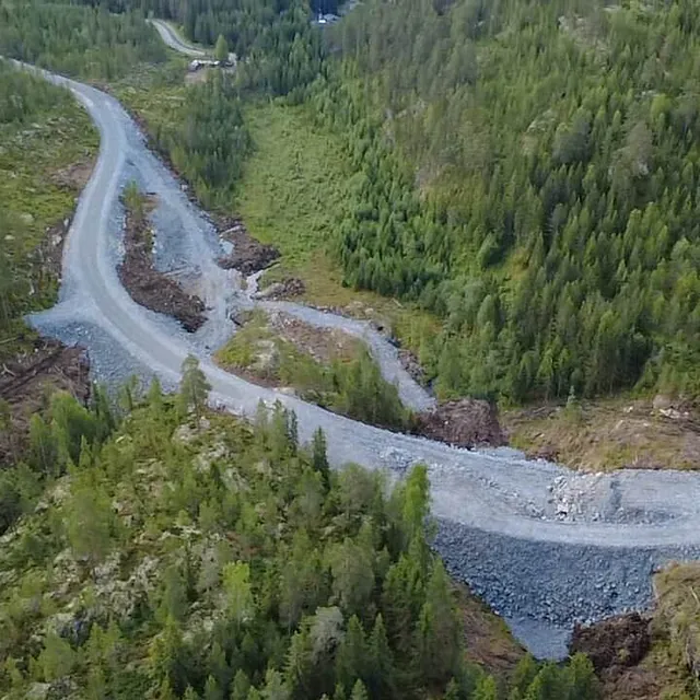 En nyanlagt grusvei slynger seg gjennom et skogsområde i kupert terreng.